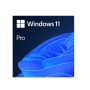 windows 11 pro